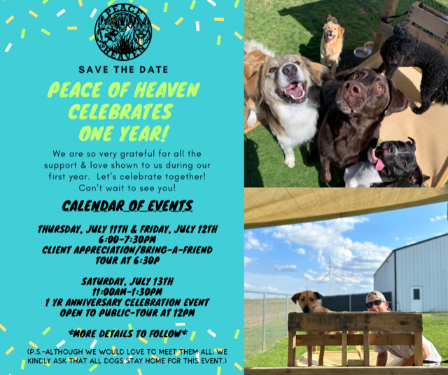 Canva 1 yr Save the Date